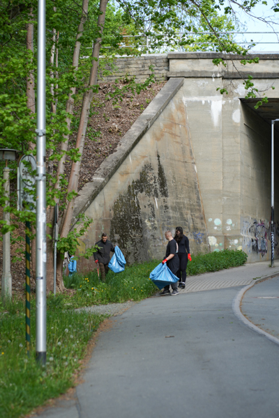 Route 14 Sparkasse Vogtland
